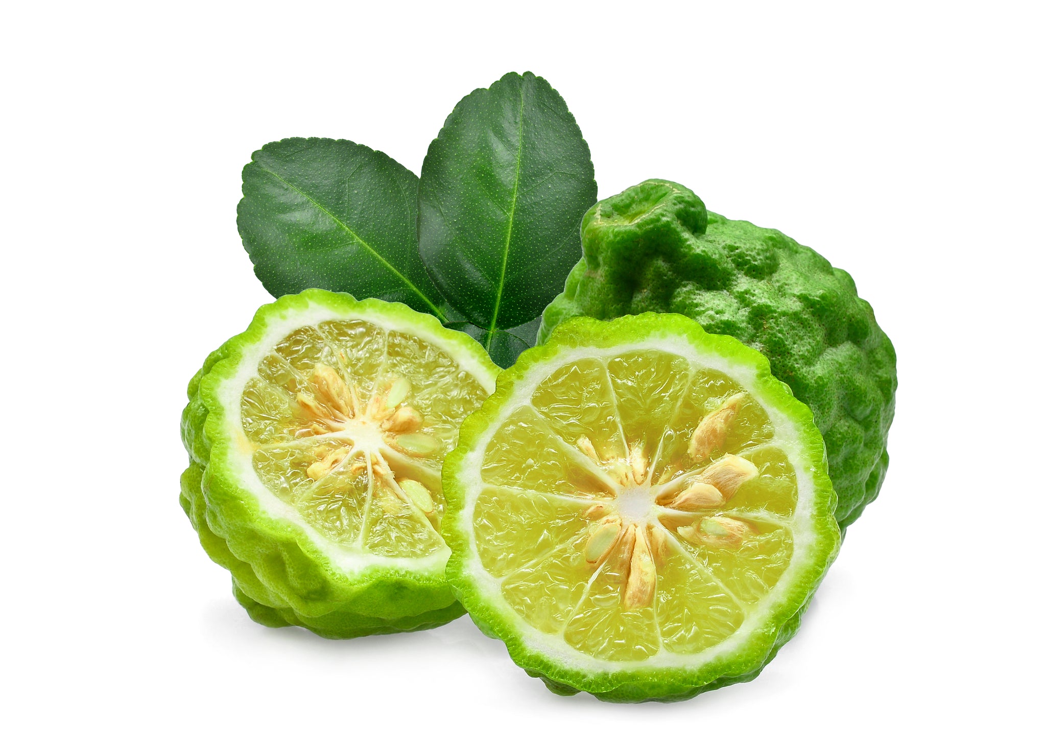Bergamot