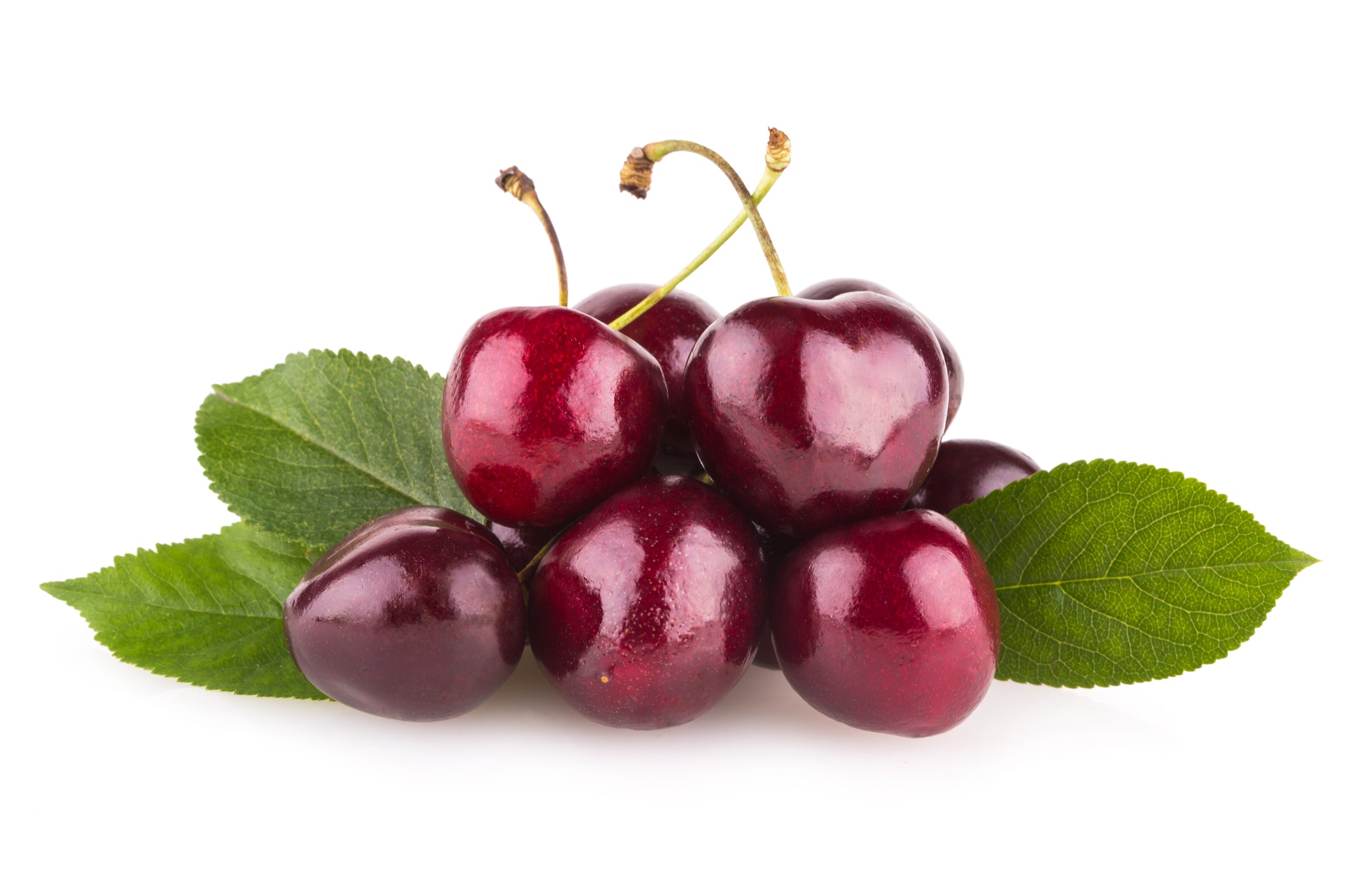 Black Cherry