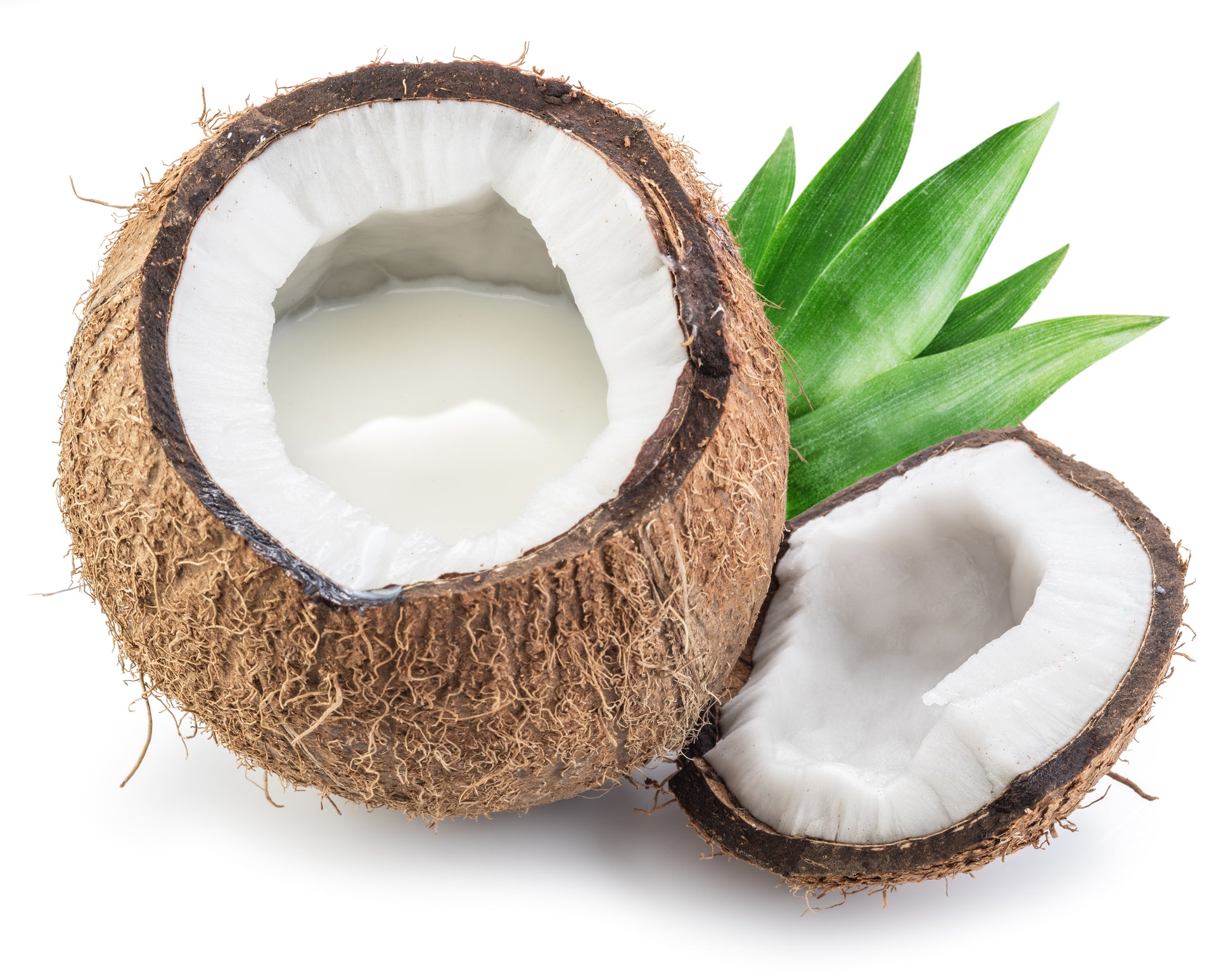 Coconut