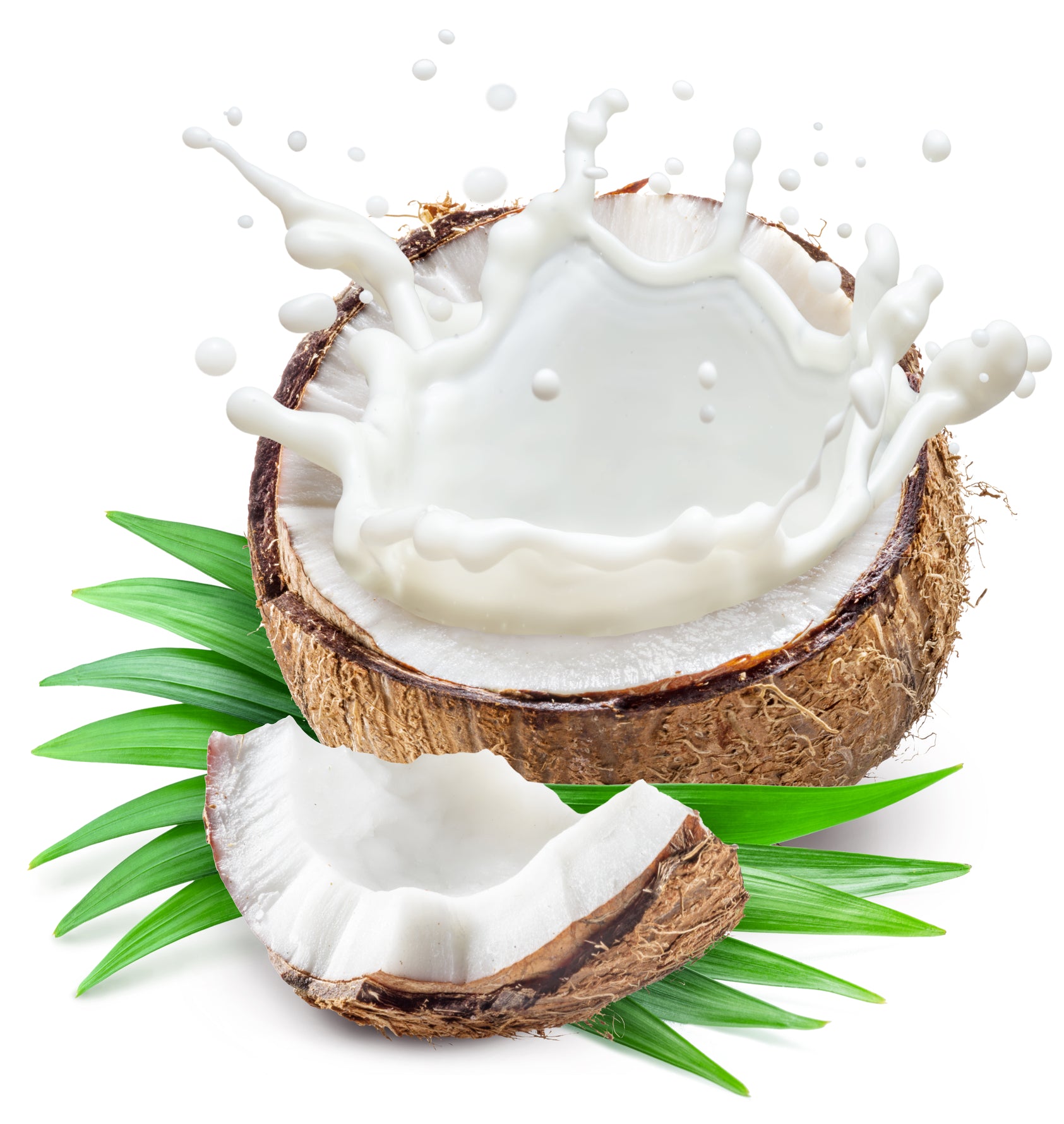 Coconut Milk