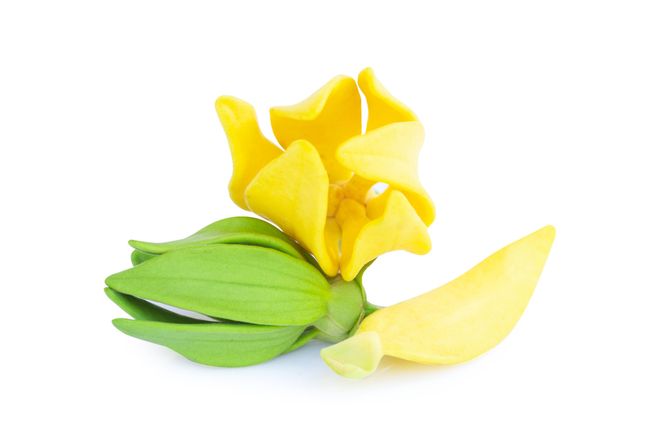 Ylang-Ylang